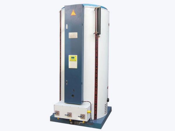 LHS-D立式燃?xì)忾_水鍋爐